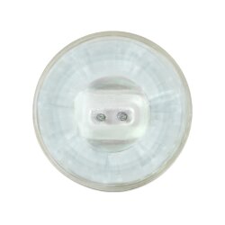 Delock Lighting MR16 LED illuminant 2.5 W cool white 48 x SMD