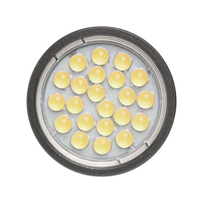 Delock Lighting GU10 LED Leuchtmittel 5,0 W warmweiß 22 x SMD Epistar 60°